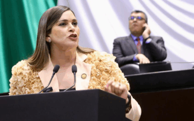 Propone diputada del PRI garantizar derechos de madres jóvenes 