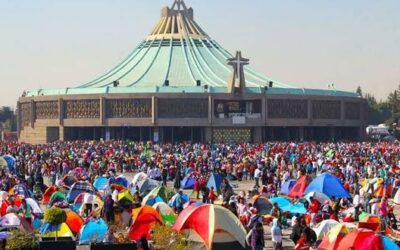 Operativo Basílica 2025 registra aproximadamente 13 millones de personas