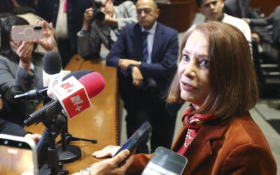 Prevé Laura Itzel Castillo actualización de Reglamento del Senado