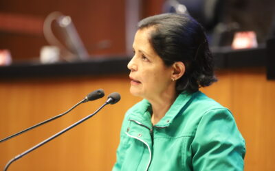 Urge garantizar asistencia social a migrantes en nuestro pais: senadora