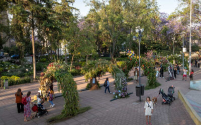Polanco se llenará nuevamente de flores, jardines y propuestas creativas