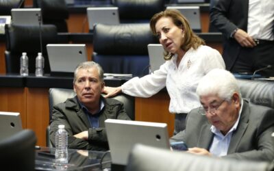 Incorporar a ISSSTE a herman@s mayores de edad con discapacidad: senadora Murguía