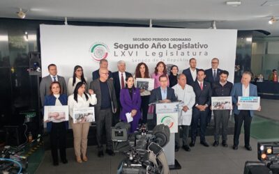 Regreso del Sarampión, es culpa de Morena: PAN