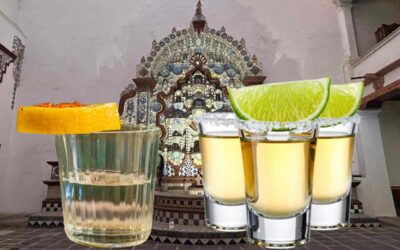 Productor@s de Destilados Rurales y Arte Tradicional exigen un esquema fiscal que l@s proteja