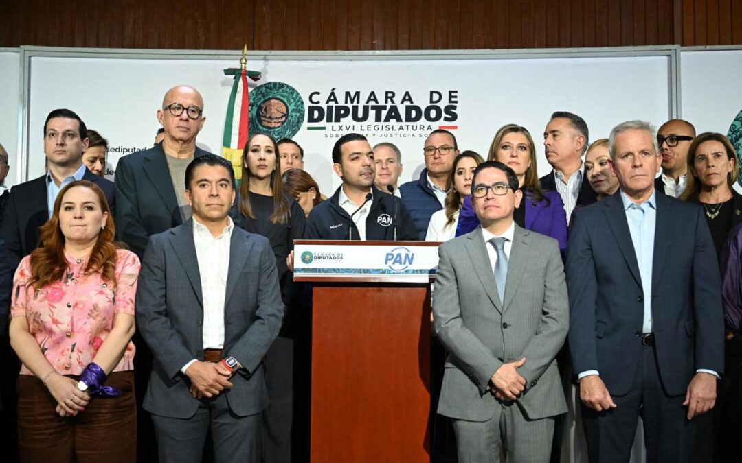 Ni un voto del PAN para validar simulación en reforma electoral: Elías Lixa