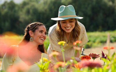 La ruta de las Flores en baja California; cuando el desierto se llena de color
