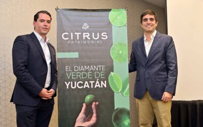 Crece la confianza de invertir en México y aumenta  limón de exportación