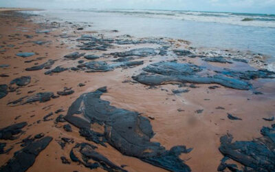 Solicitan en Comisión informe sobre presencia de hidrocarburos en costas de Veracruz y Tabasco