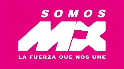 Denuncia SOMOS trato desigual en el Tribunal Electoral de SLP