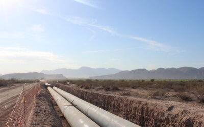 Amplían al 29 de mayo plazo para inscribirse al Programa Especial de Energía para el Campo