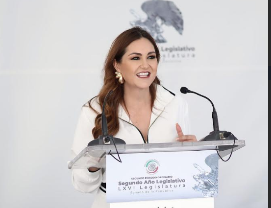 Geovanna Bañuelos propone regular reventa de boletos en plataformas digitales