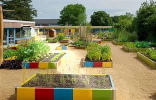 Busca Partido Verde fomentar la implementación de huertos escolares