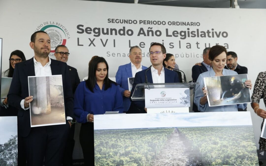 PAN exige frenar el Tren Maya por los riesgos estructurales