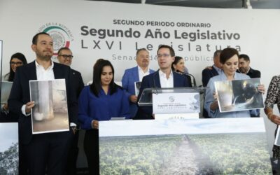 PAN exige frenar el Tren Maya por los riesgos estructurales