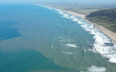 Analizan Diputados llamar a comparecer titulares de Semarnat y PEMEX por desastre ecológico