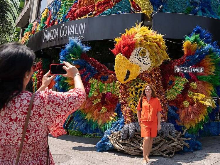 Transformarán Polanco en un recorrido abierto de jardines y diseño floral