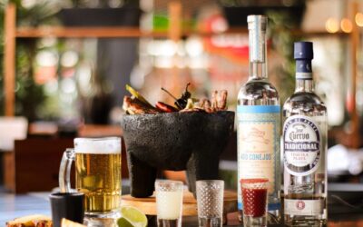 México necesita replantear su relación con el alcohol: empresarios