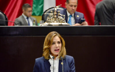 Urge diputada Ivonne Ruiz acciones inmediatas para frenar alza de jitomate