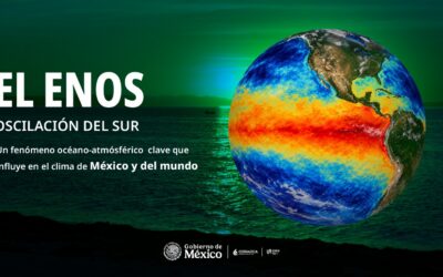 Se establece fenómeno de El Niño en océano Pacífico ecuatorial