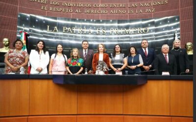 Rinden protesta siete senador@s suplentes