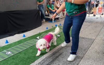Fiesta de 4 Patas marcó cierre del Mundial en Cielo Abierto Coyoacán