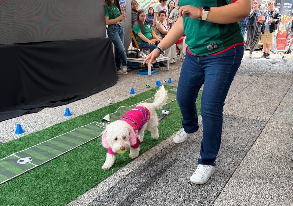Fiesta de 4 Patas marcó cierre del Mundial en Cielo Abierto Coyoacán