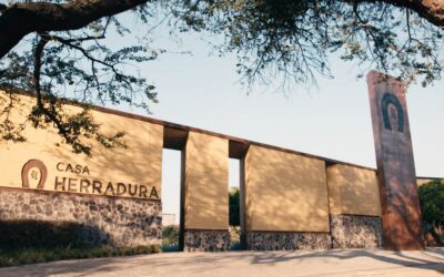 Datos que revelan cómo está cambiando la industria del tequila