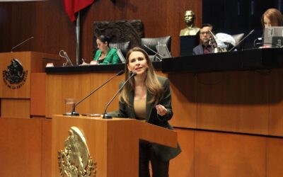 Morena desvía atención para ocultar fracaso de T-MEC: Viggiano