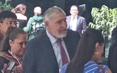 Reaparece Adán Augusto López y se placea en Senado