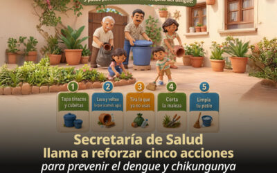 Salud llama a reforzar acciones para prevenir el dengue y chikungunya