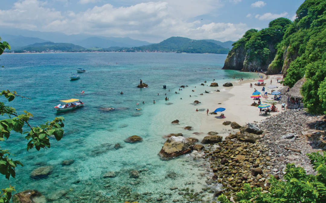 Aclaran que es macroalga marina y no sargazo en Guayabitos, Nayarit