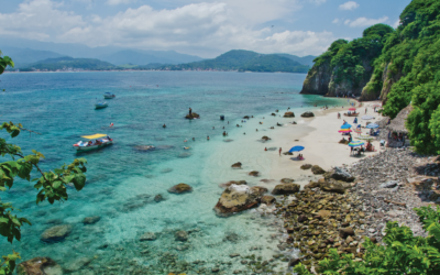 Aclaran que es macroalga marina y no sargazo en Guayabitos, Nayarit