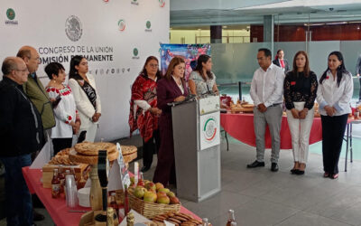 Promocionan en Senado las Ferias de Zacatlán y Coronango en Puebla