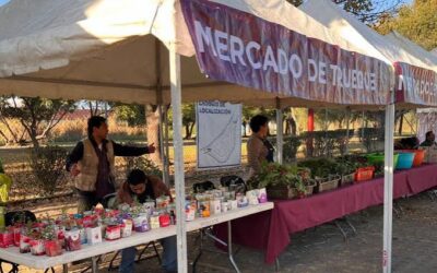 Alistan Mercado de Trueque en la alcaldía Iztacalco