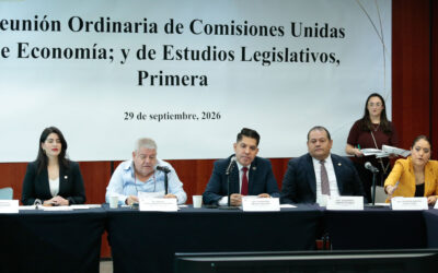Avanzan en comisiones del Senado reformas a Ley de Inversión Extranjera