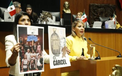 Ley Anti Memes de Morena, amenaza libertad de expresión: PAN