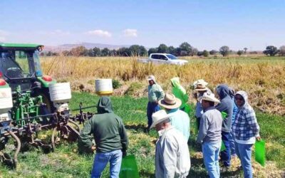 Ante intentos de despojo, piden diputados dotar de mayor certeza jurídica a campesinos