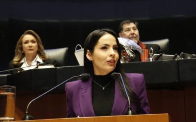 Votará PAN en contra de la reforma de nacionalidad única