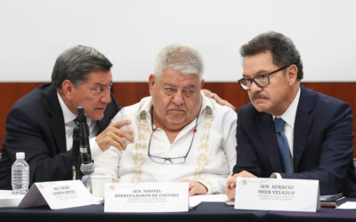 Aprueba Comisiones Doble Nacionalidad y el martes va al Pleno