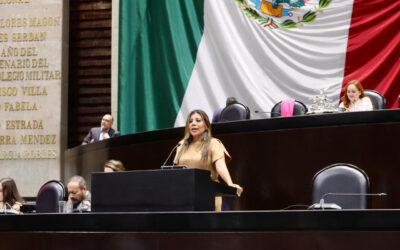 Bienestar sin medicinas y sin resultados es solo propaganda: Lorena Piñón