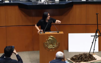 Mayuli lleva sargazo al Senado y exige recursos para atender crisis en Q. Roo