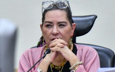 Guadalupe Taddei presenta su renuncia como presidenta del INE