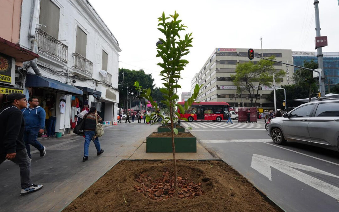 Arranca reforestación del Centro Histórico con meta de mil árboles