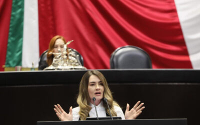 Impulsa diputada Ariana Rejon igualdad salarial entre mujeres y hombres