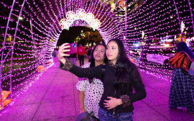Encienden Corredor Lumínico en Reforma, para conmemorar el Día de Muerto